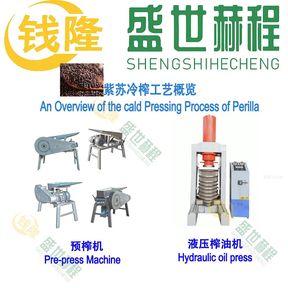 Perilla seed preparation for direct cold pressing