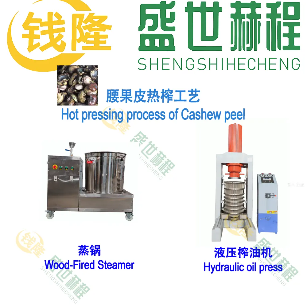 Cashew shell material for a dedicated industrial study